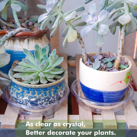 Lucpur plant-saucer transparent design blends with decor while catching drips.