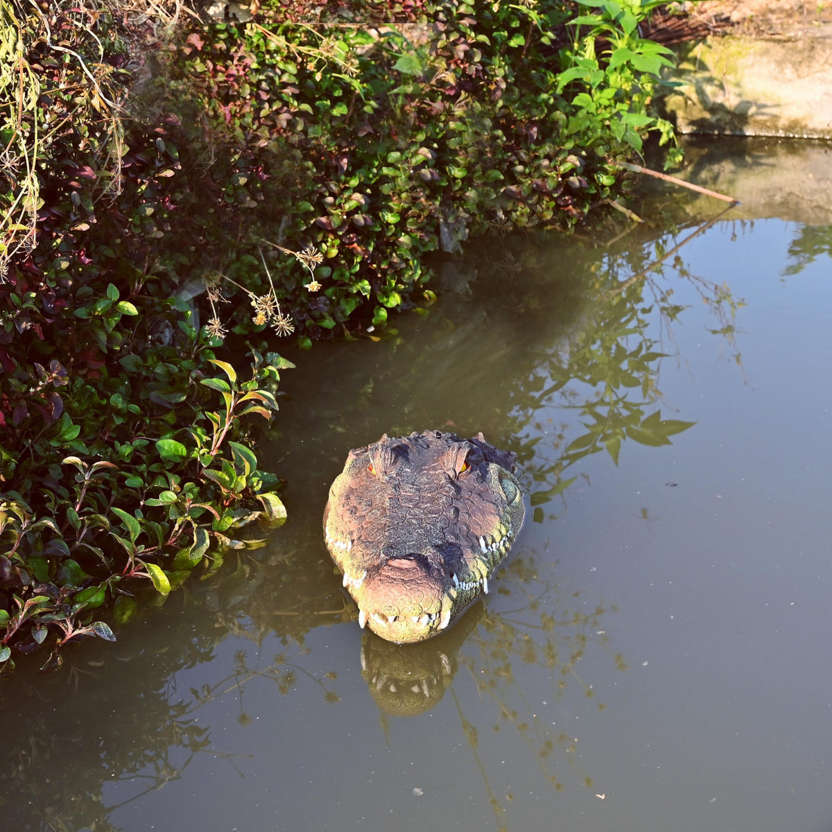 LUEUR alligator head eyes detail enhances realism for effective wildlife deterrence.