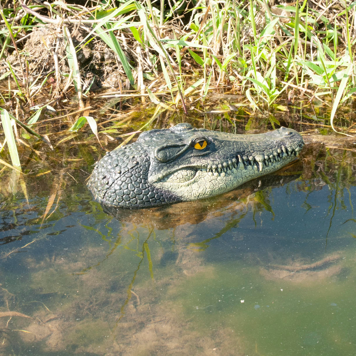 LUEUR alligator head float easily sits on water, no installation required.