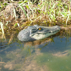 LUEUR alligator head float easily sits on water, no installation required.