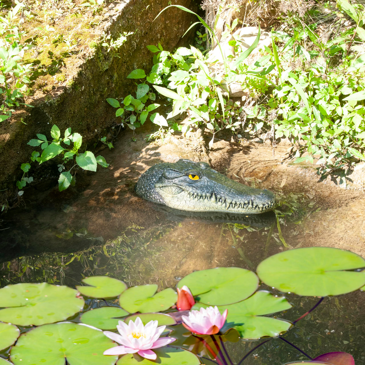 LUEUR floating alligator head complements ponds, pools, and garden water features stylishly.