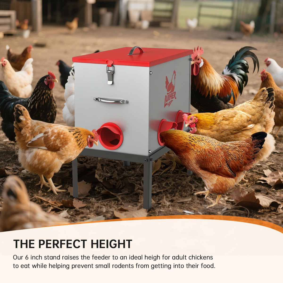 LUIHER durable poultry feeder supports long-term use in coops