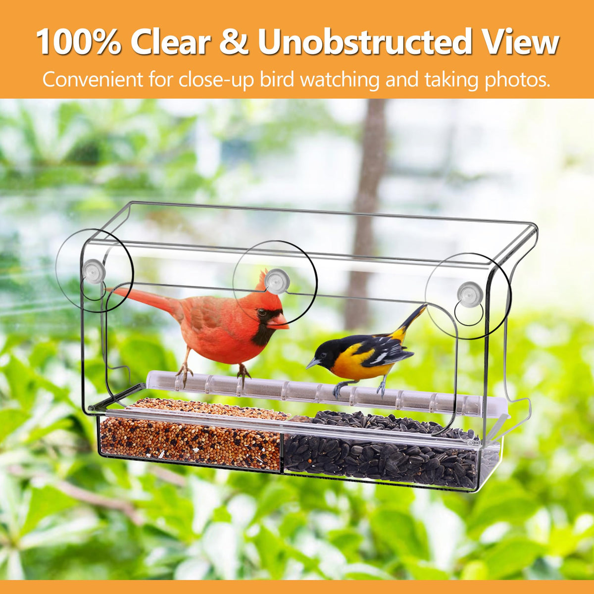 LUJII unobstructed panoramic view with Resist technology maintains color clarity