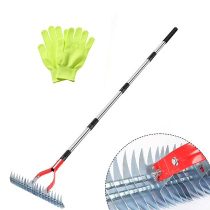 Lulkod Thatch Rake with 15-inch wide head for efficient lawn debris removal