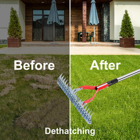 Lulkod thatch rake reaches tall areas with 70-inch length