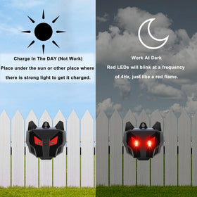 Lulu Home unit at night deters nocturnal animals around the yard with flashing signals