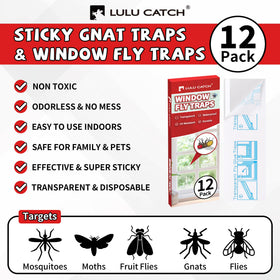 Close-up of LULUCATCH adhesive trap attracting gnats near kitchen window.