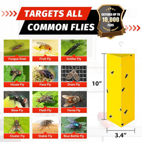LULUCATCH fly trap hanging use in a garage area for easy pest control.