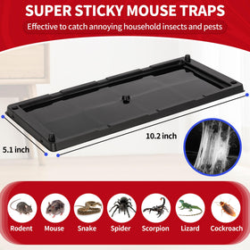 LULUCATCH glue board offers strong adhesion for reliable pest capture