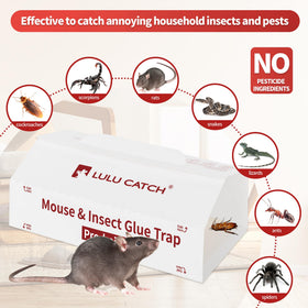 LULUCATCH glue trap with peanut butter scent attracts pests naturally.