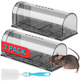 LULUCATCH humane mice traps pack with roomy interior for stress-free live release.