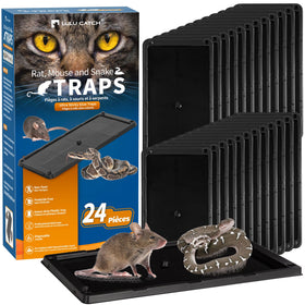 LULUCATCH prebaited glue trap catching mice along a wall.