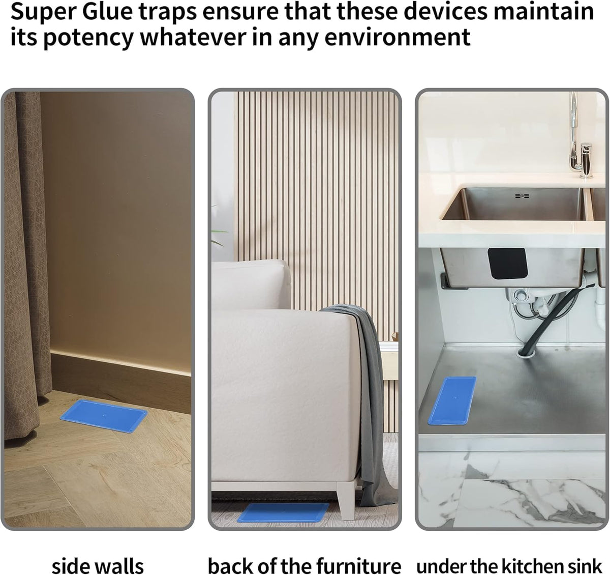 LULUCATCH heavy-duty trays capture mice, rats, and snakes indoors.