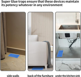 LULUCATCH heavy-duty trays capture mice, rats, and snakes indoors.