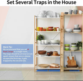LULUCATCH traps shown in kitchen or basement for versatile indoor use.