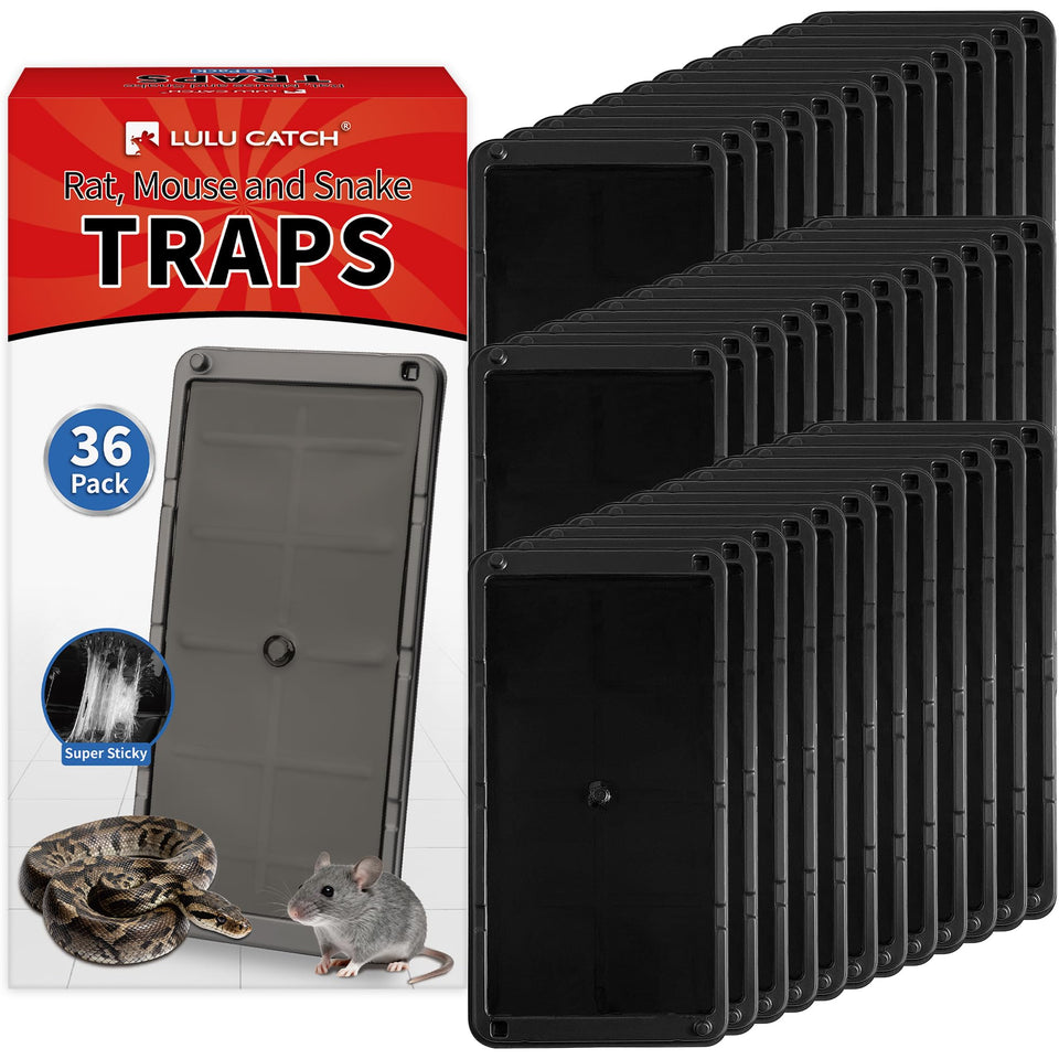 LULUCATCH 36-pack traps with a sturdy tray ready for placement and secure capture.