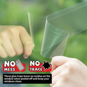 LULUCATCH non-toxic family-safe trap promotes safe pest control at home.