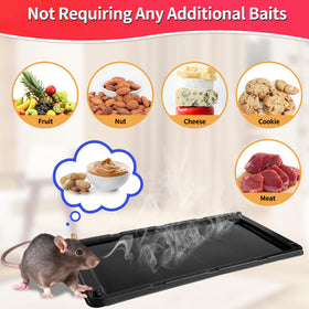 LULUCATCH non-toxic traps safe around children and pets