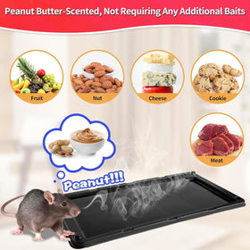 LULUCATCH non-toxic glue boards are safe around children and pets for indoor use.
