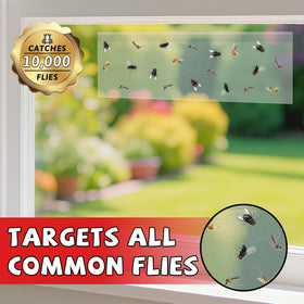 Kitchens and offices use LULUCATCH for odorless, mess-free pest capture.