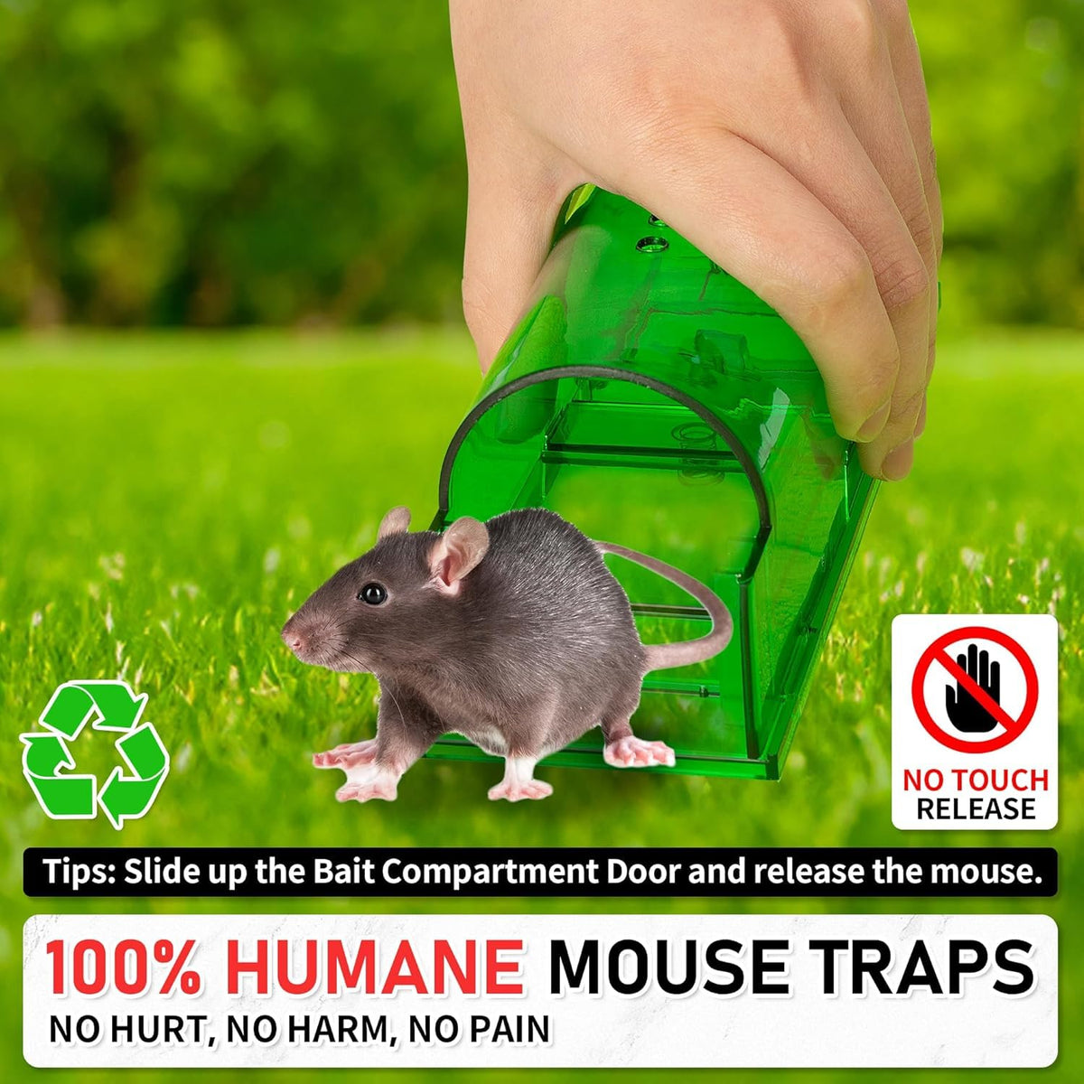 LULUCATCH reusable traps ready for repeated use and easy cleaning.