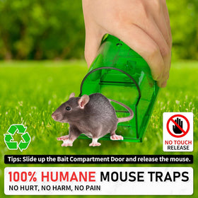 LULUCATCH reusable traps ready for repeated use and easy cleaning.