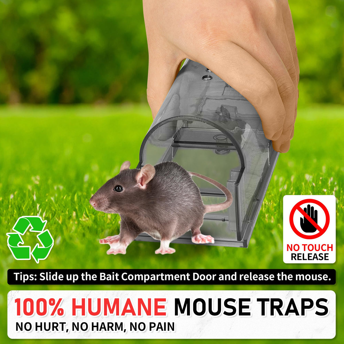 LULUCATCH reusable traps with cleaning brush enable ongoing use.