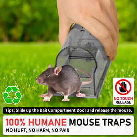 LULUCATCH reusable traps with cleaning brush enable ongoing use.