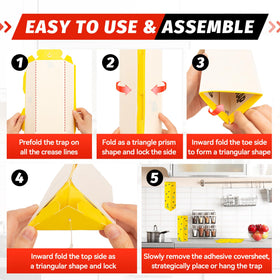 LULUCATCH indoor-use-friendly traps shown in garages and greenhouses