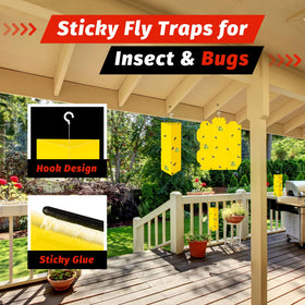 LULUCATCH hanging setup traps enabling quick, mess-free placement
