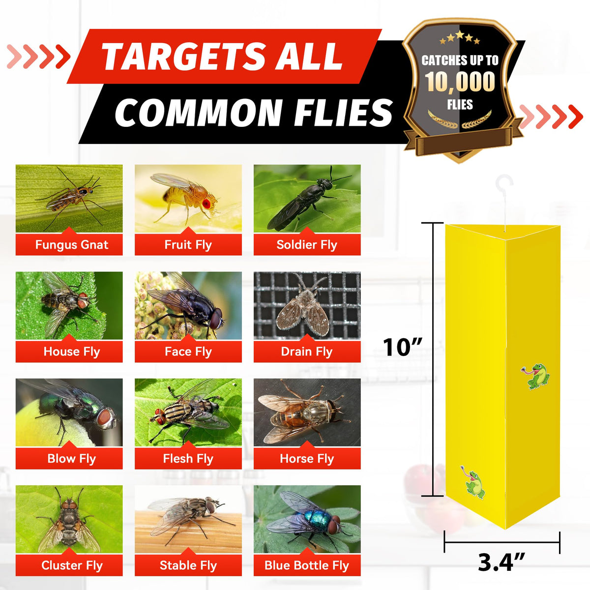 LULUCATCH ready-to-use traps demonstrating mess-free setup