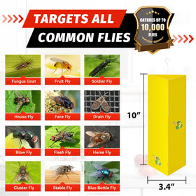 LULUCATCH ready-to-use traps demonstrating mess-free setup