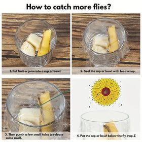 Lulurose sunflower trap blends with décor while capturing flying insects on windows