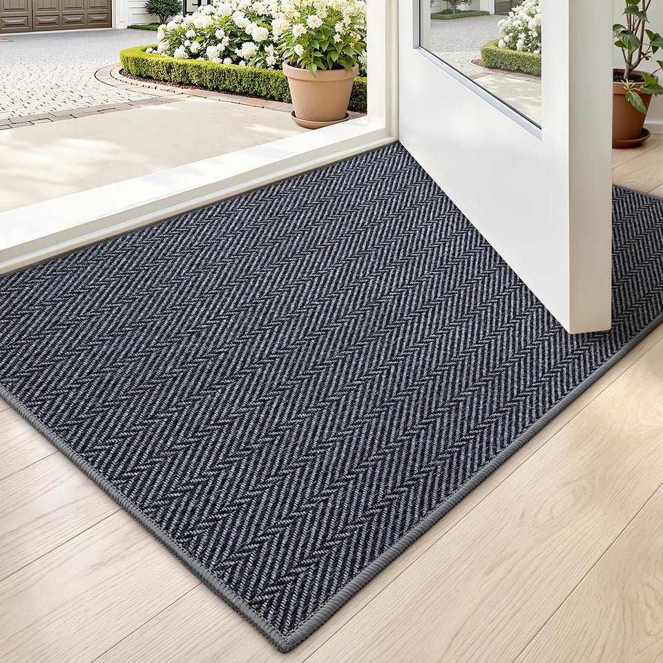LUMI Ultra Thin Indoor Door Mat at the entrance, 17x30 inches, blends with decor.