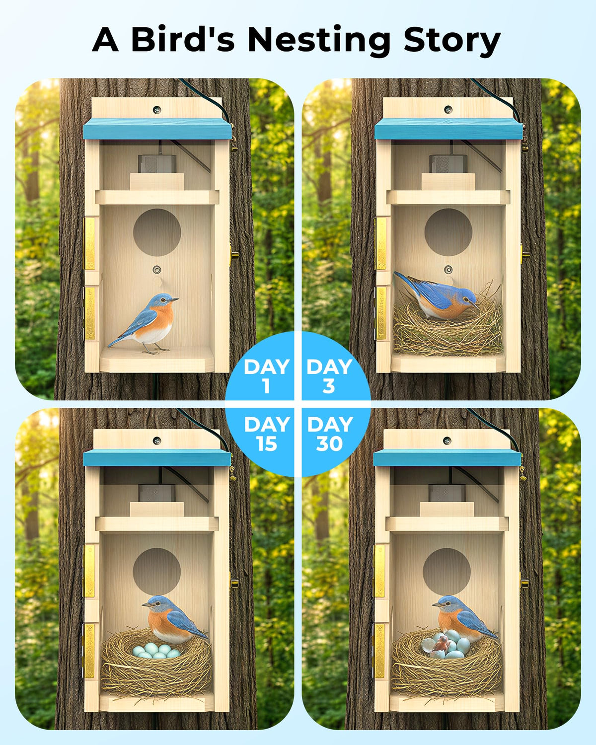 LuminiCam Bird House 1080p live streaming for day and night viewing.
