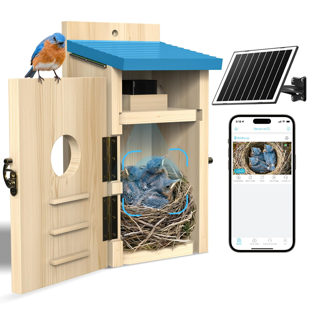 LuminiCam Bird House camera inside enables discreet backyard monitoring.