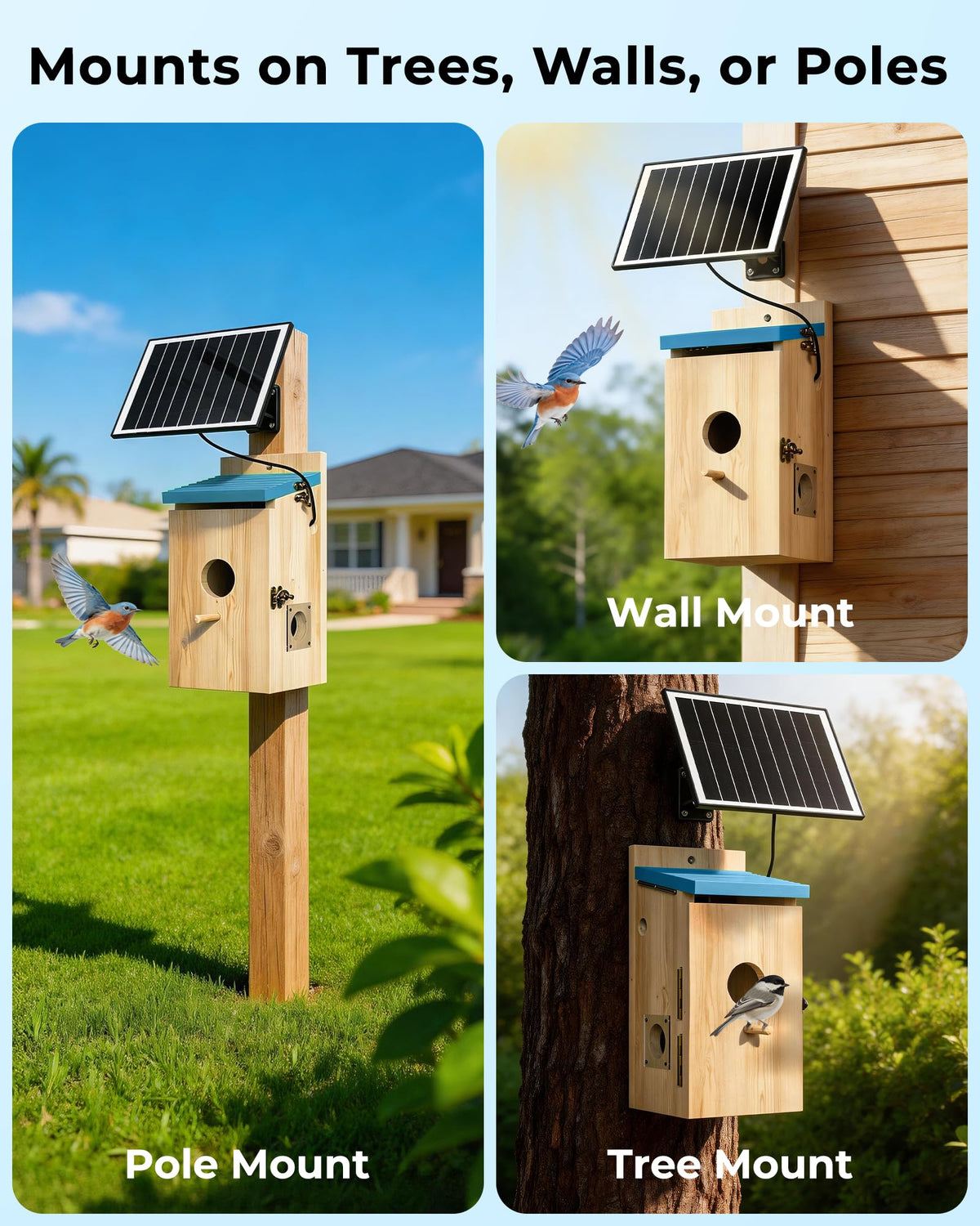 LuminiCam Bird House compact pine design blends with outdoor spaces.