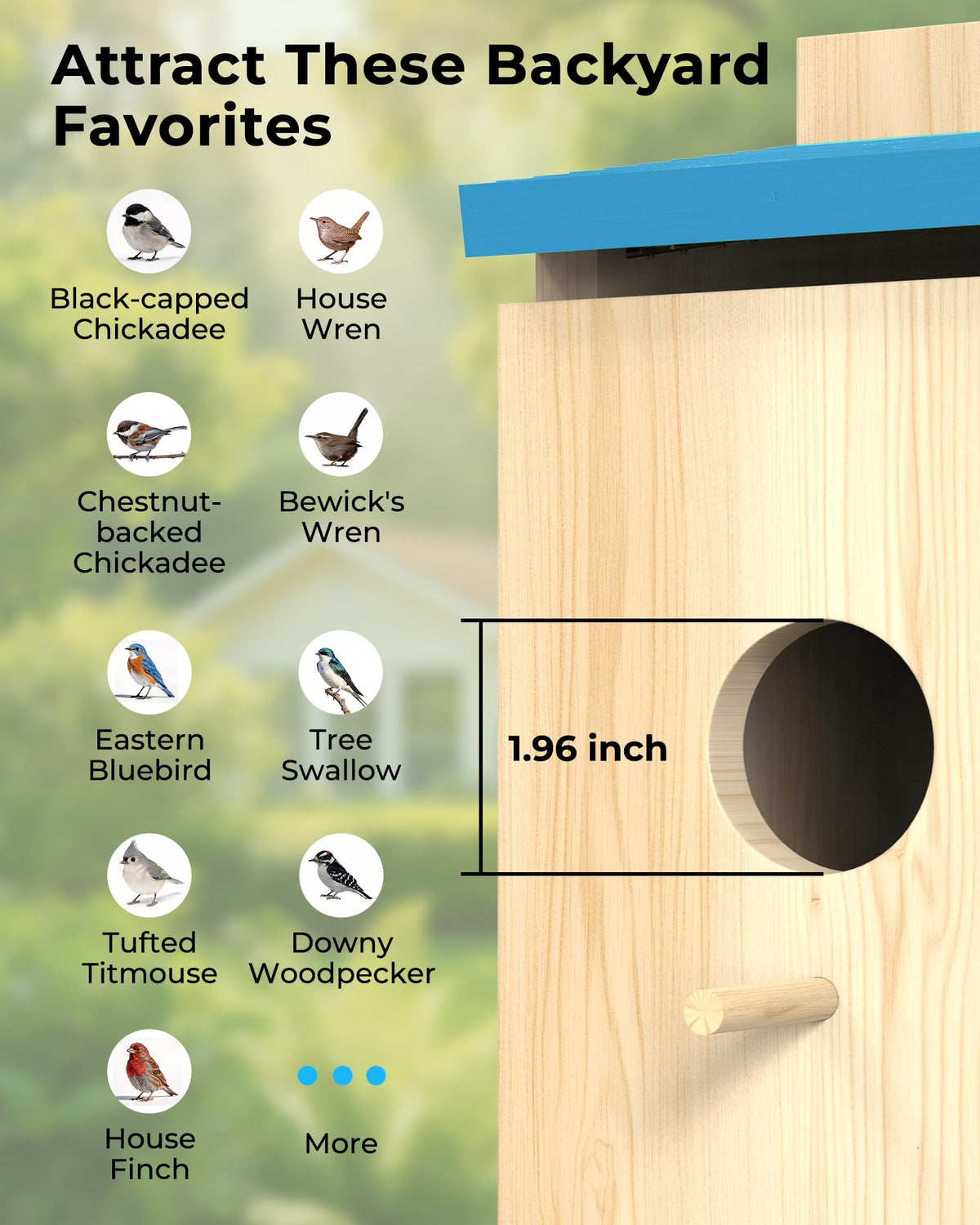 LuminiCam Bird House night vision provides clear footage after dark.