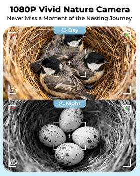LuminiCam Bird House separate camera compartment allows easy adjustment.