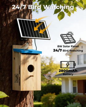 LuminiCam Bird House solar panel powers the camera for daytime use.
