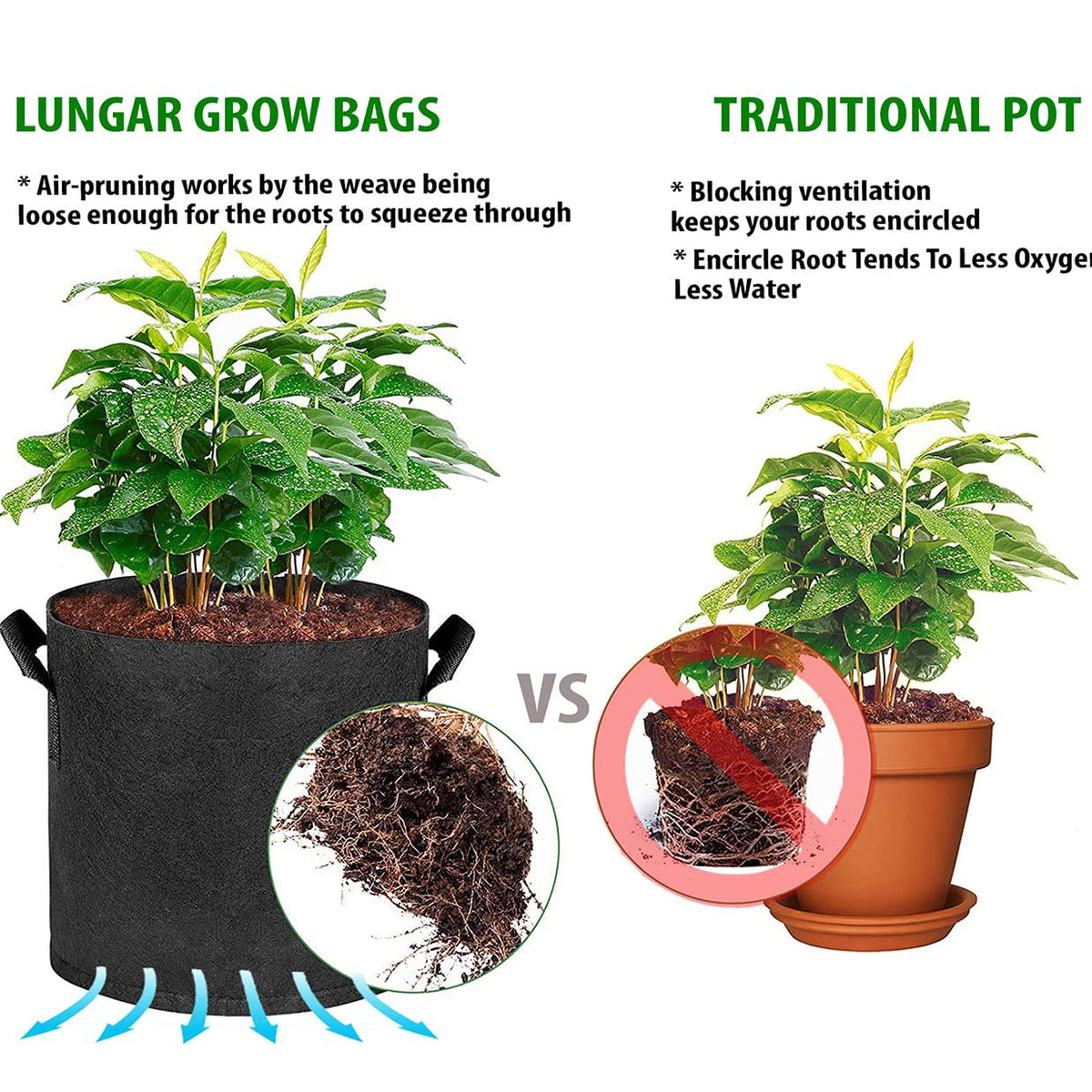 LUNGAR 300G non-woven fabric offers durable, breathable plant containment.