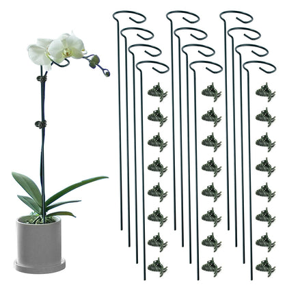 Lunhans 24-inch single-stem plant stake ready to support stems