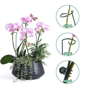 Roses and flowers supported by Lunhans stake in garden for upright growth