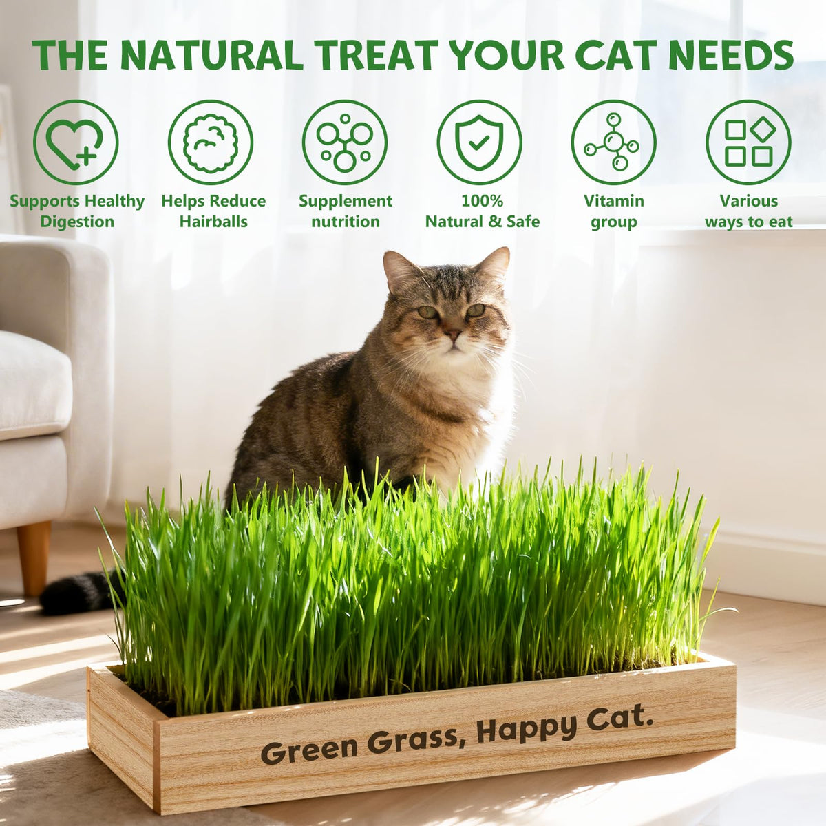 LUOJIBIE cat grass growth steps show 3–7 days to sprout and height.