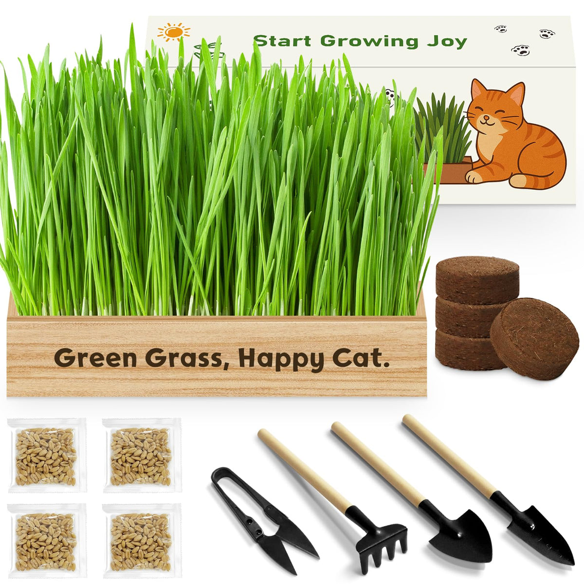 LUOJIBIE cat grass kit unboxing for easy indoor growth and pet enrichment.