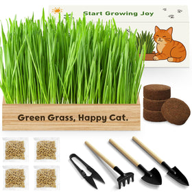 LUOJIBIE cat grass kit unboxing for easy indoor growth and pet enrichment.