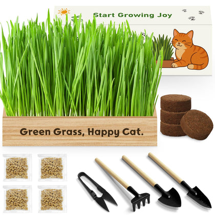 LUOJIBIE cat grass kit unboxing for easy indoor growth and pet enrichment.