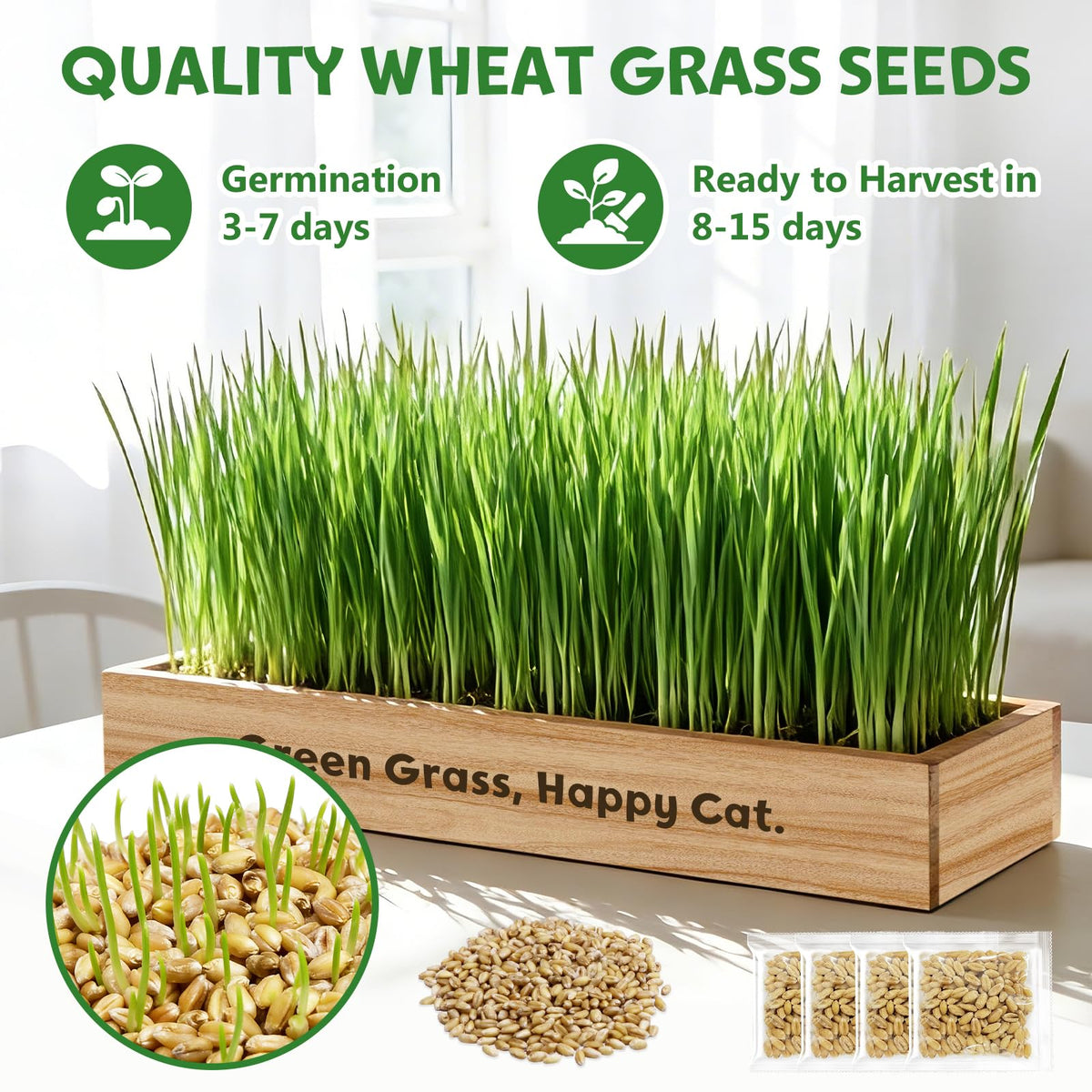 LUOJIBIE clear instructions guide simple, beginner-friendly growing process.