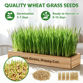 LUOJIBIE clear instructions guide simple, beginner-friendly growing process.