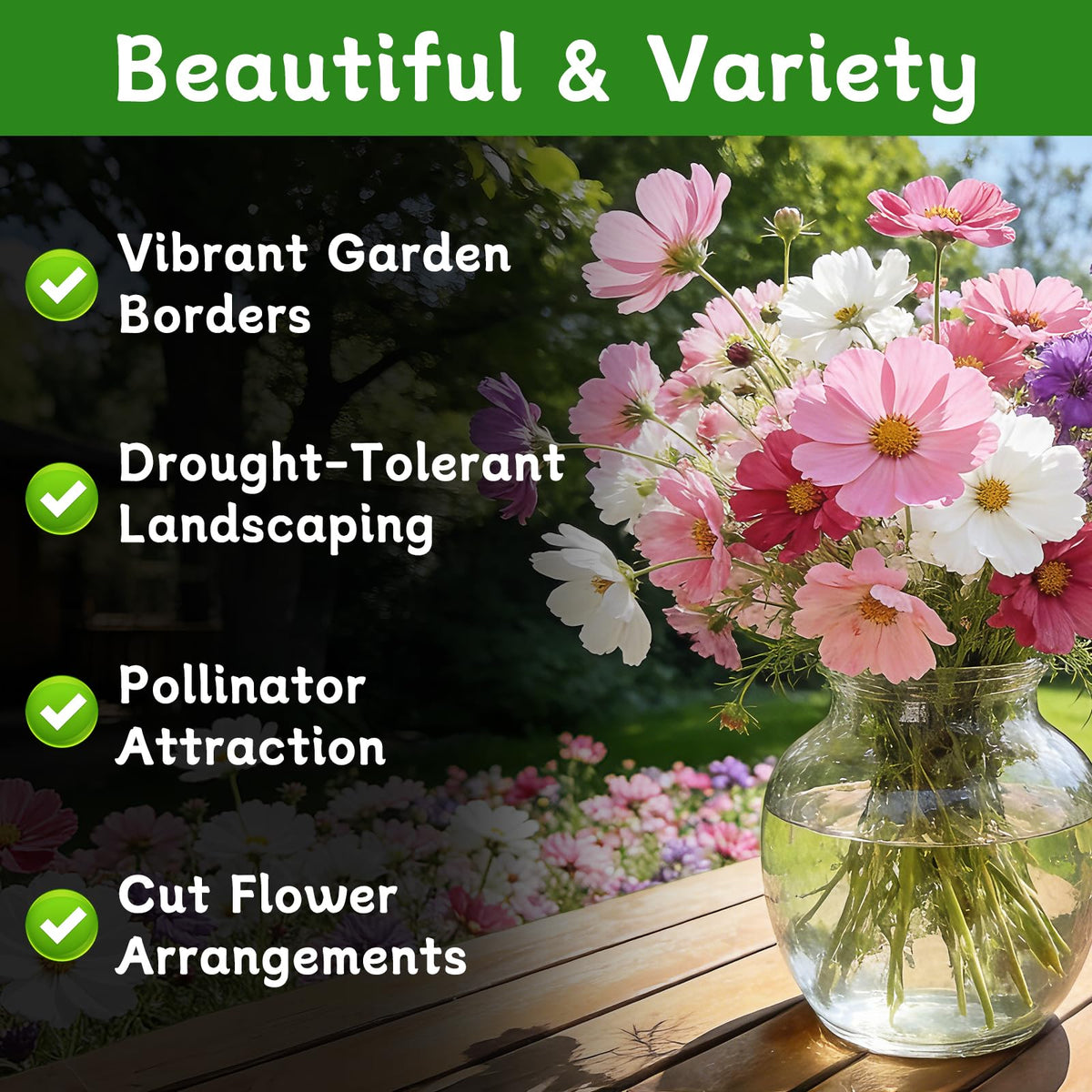 LUOJIBIE Cosmos Seeds border and meadow use creates easy landscape drama